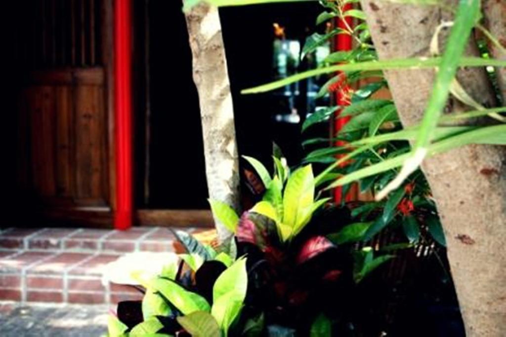 Rainforest Bed & Breakfast Kuala Lumpur Buitenkant foto