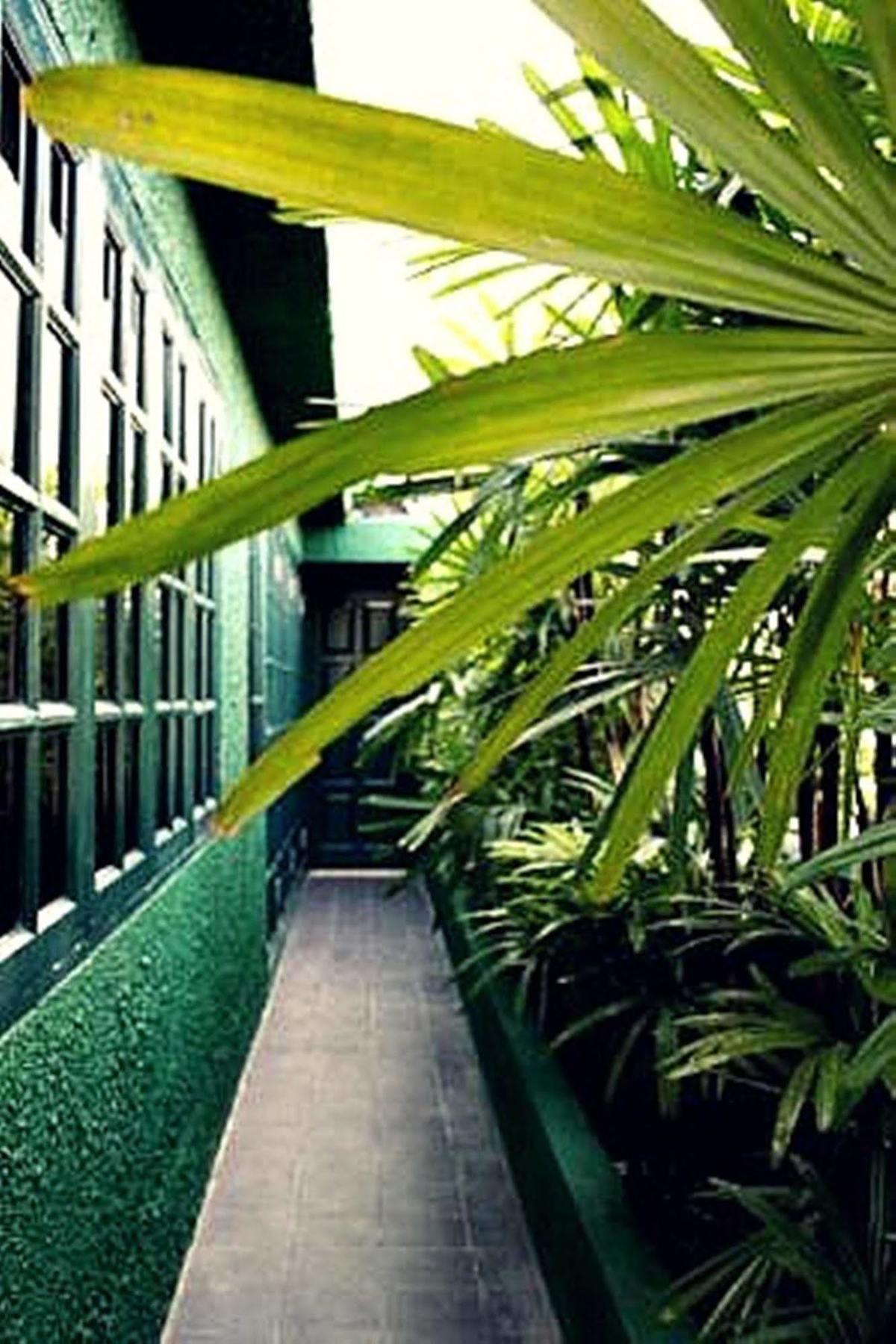 Rainforest Bed & Breakfast Kuala Lumpur Buitenkant foto